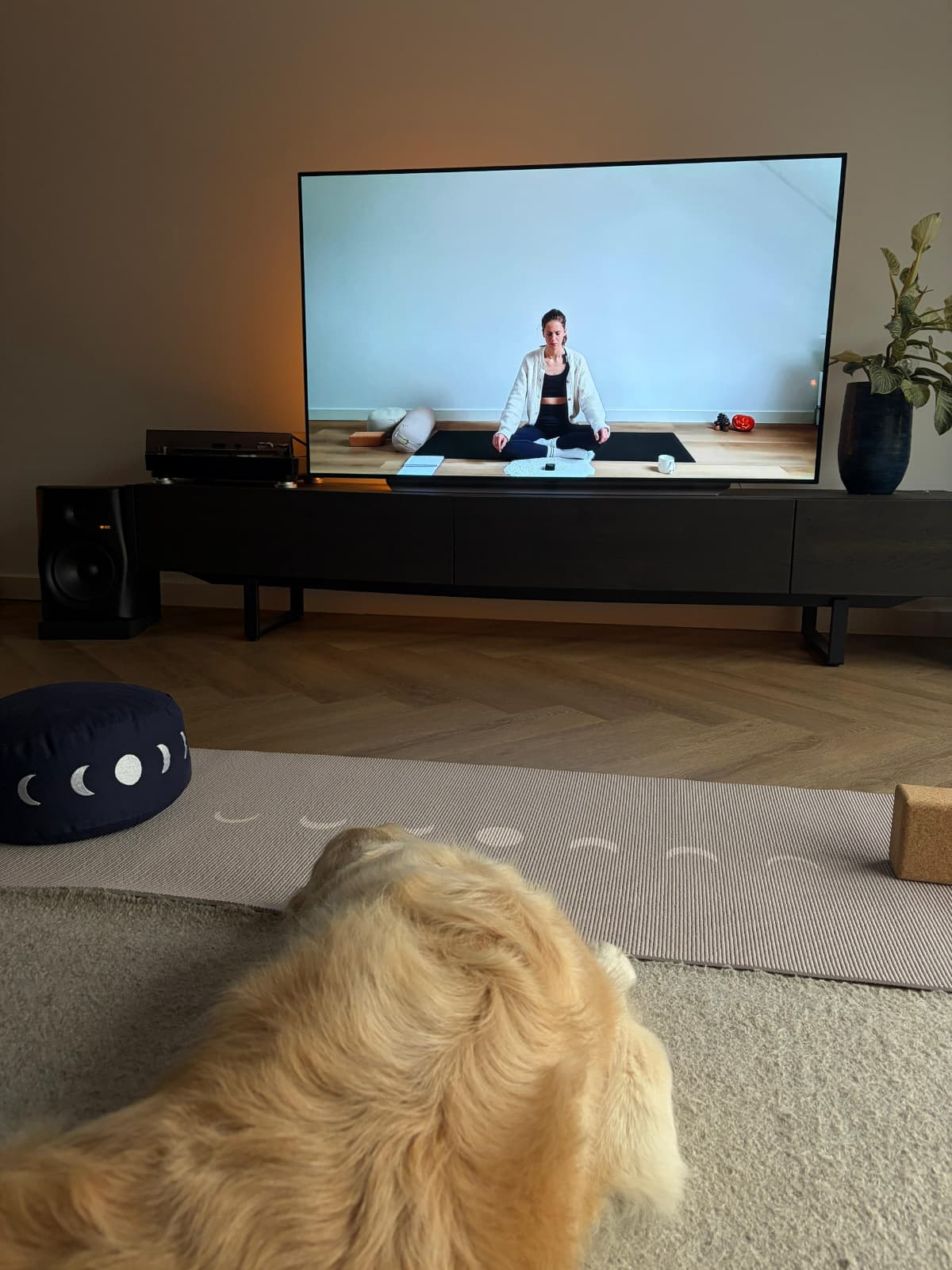 WhatsApp Image 2025-12-20 at 07.01.32